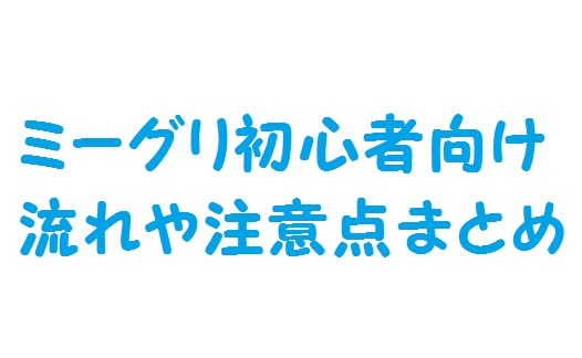 ミーグリ初心者向け チケット購入から当日の流れまとめ 失敗しないための準備 注意点 22 7 ナナブンノニジュウニ 応援中